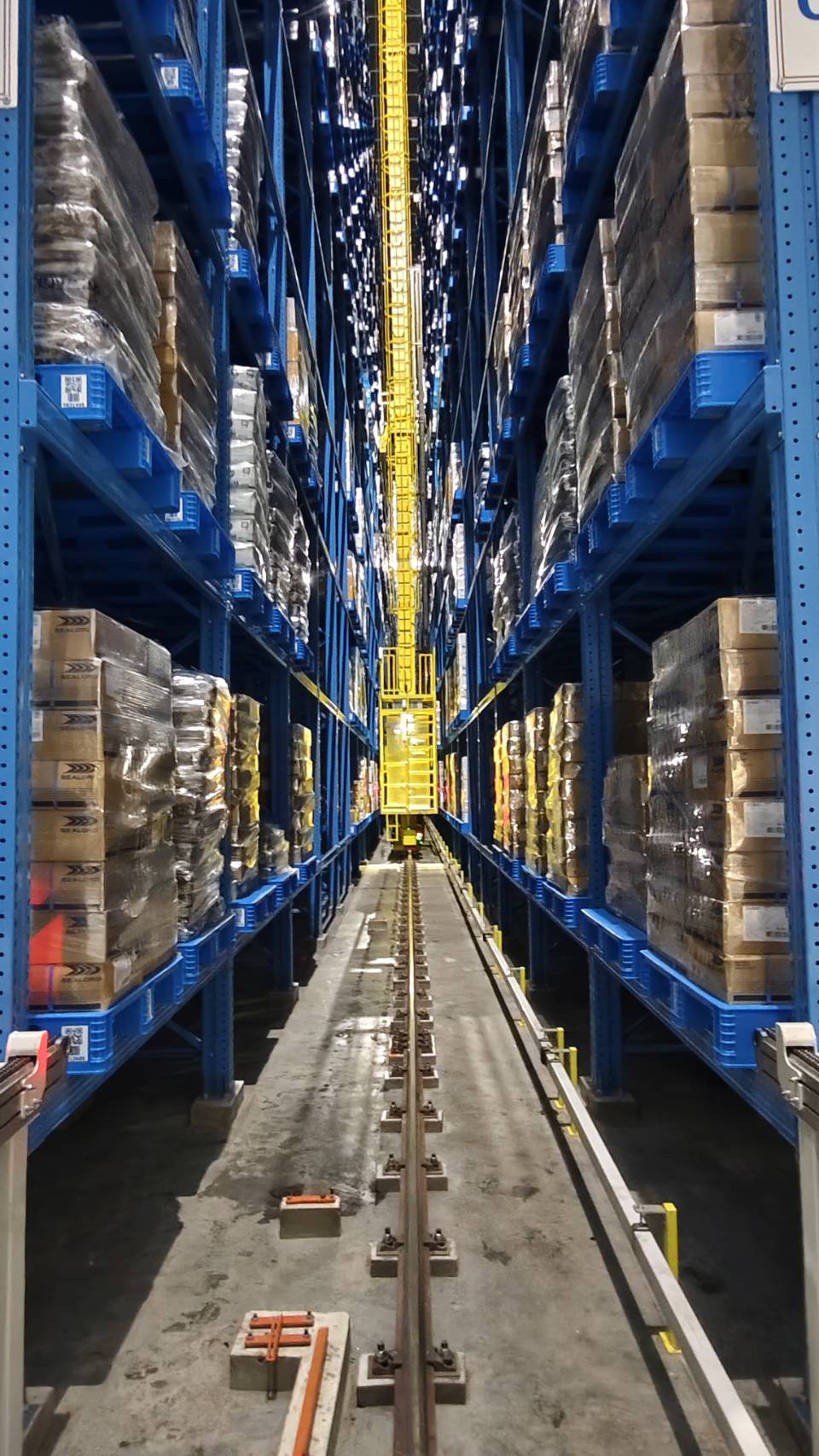 ASRS Crane System